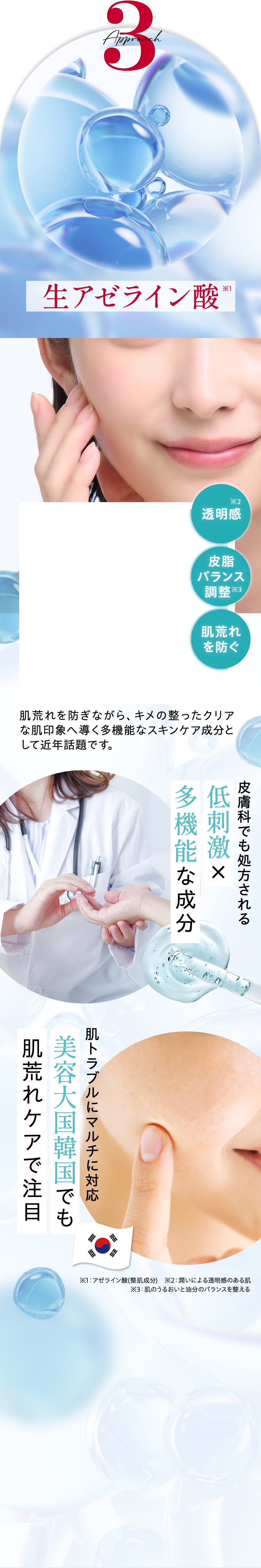 アプローチ3 生アゼライン酸