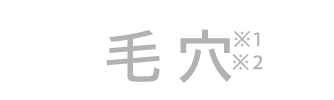 毛穴