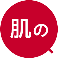 肌の