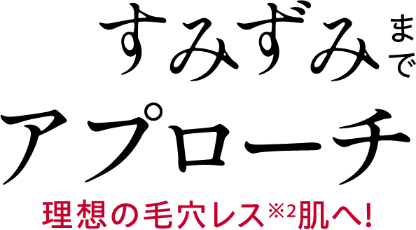 すみずみまでアプローチ 理想の毛穴レス肌へ！