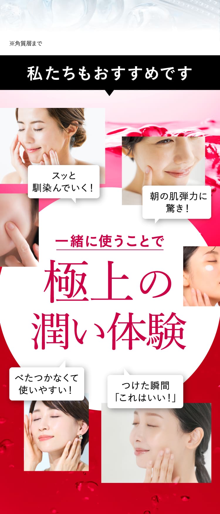 わたしたちもおすすめです