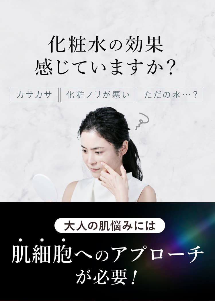 SNSでも話題沸騰