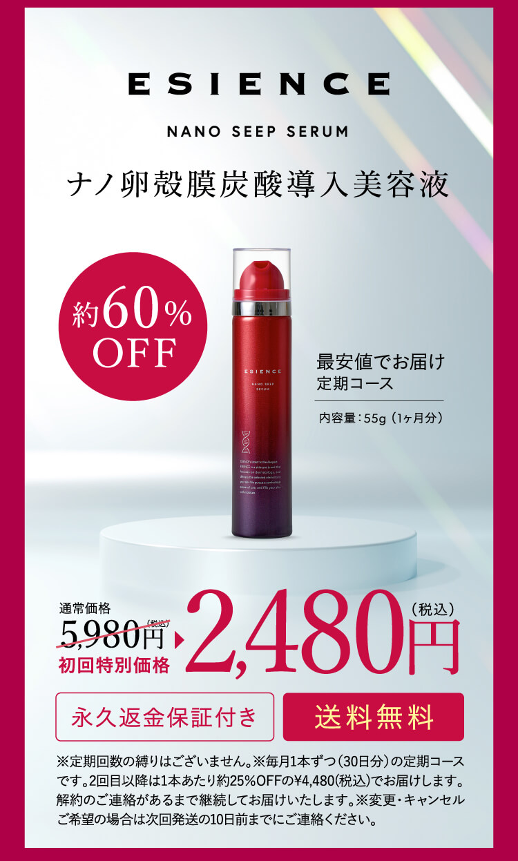 約60%OFF 2,480円