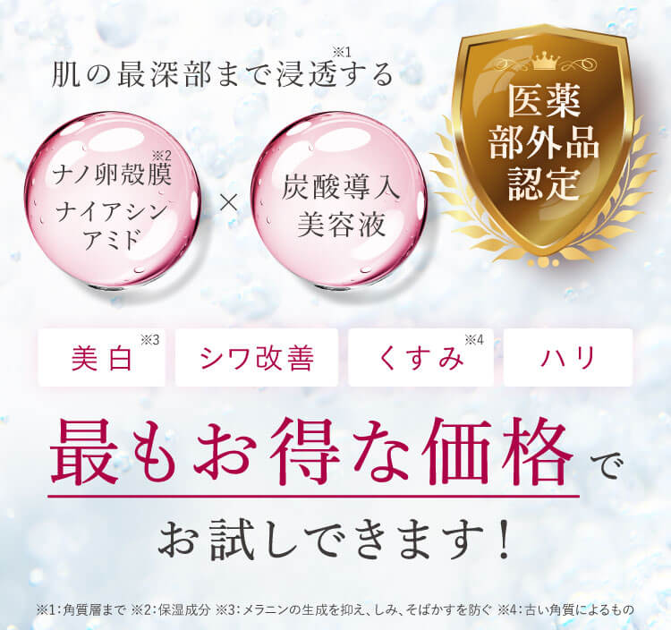 最もお得な価格でお試しできます！
