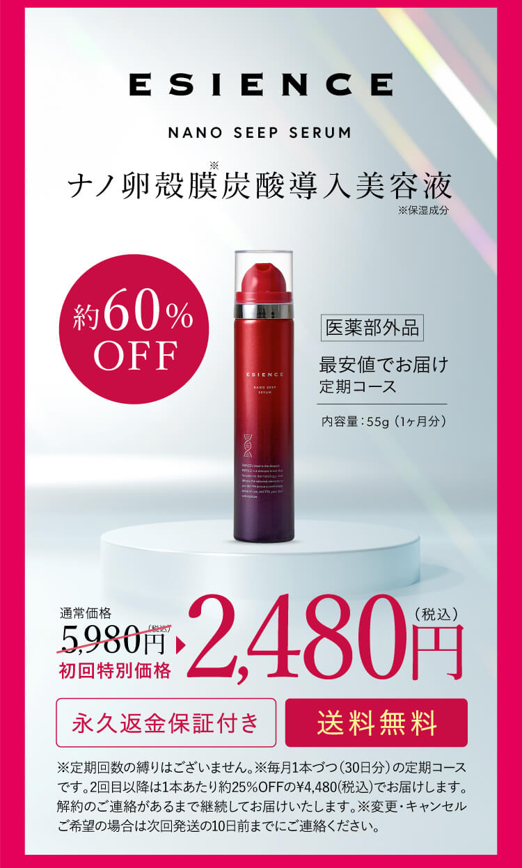 約60%OFF 2,480円