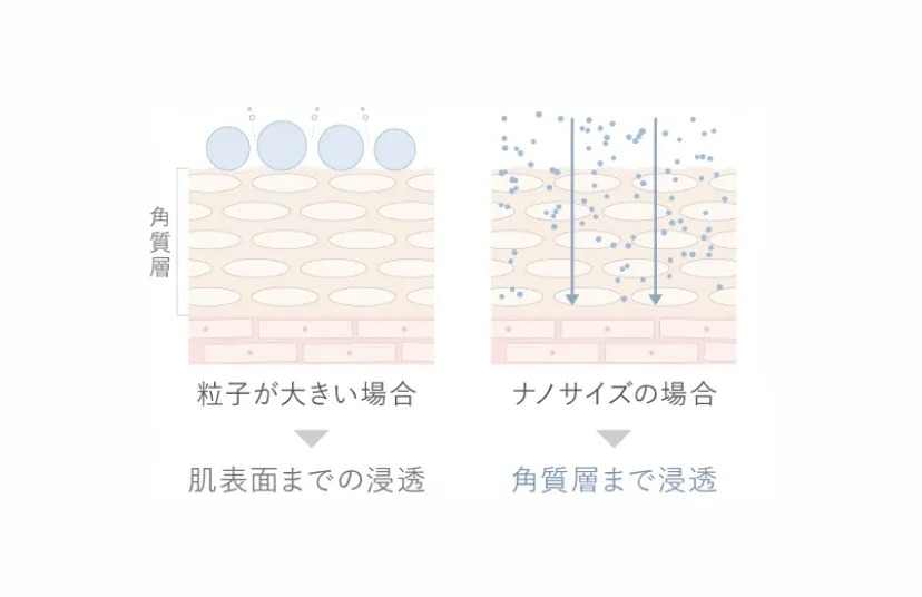 粒子が大きい場合は肌表面まで、ナノサイズの場合は角質層まで届くことを示した図