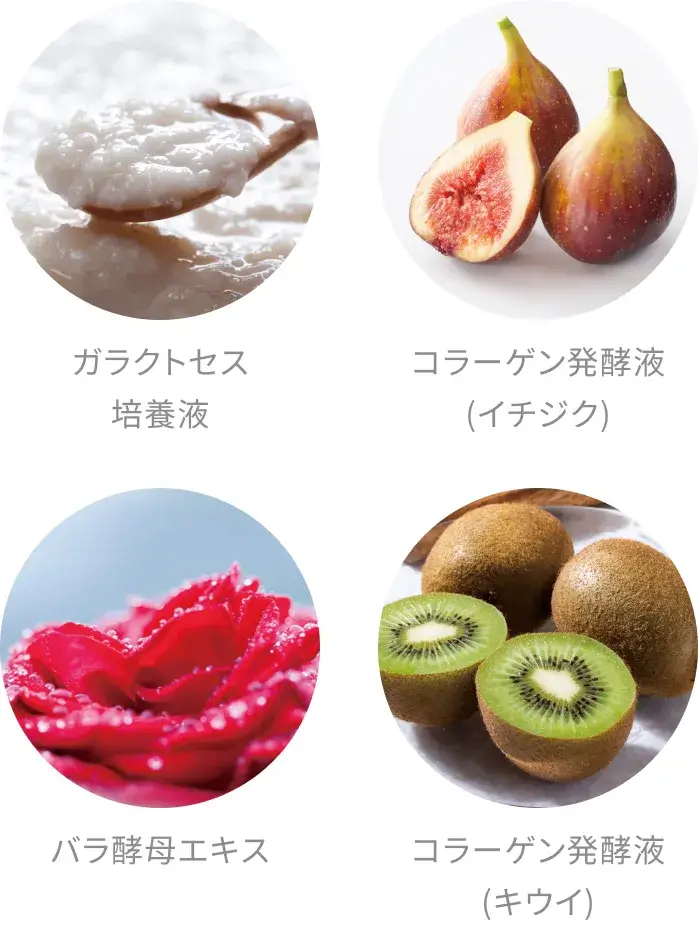 c-3.webp